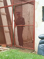 Slender cutie Ayelen gets serious stuffing from a horny policeman